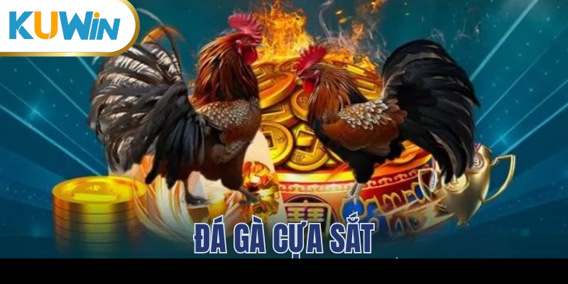 Trò chơi đá gà cựa sắt