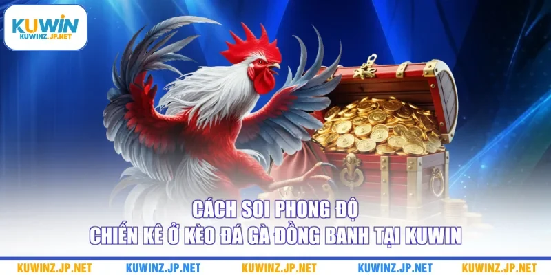Cách soi phong độ chiến kê ở kèo đá gà đồng banh tại Kuwin