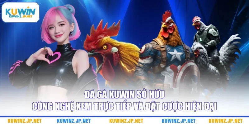 Đá gà Kuwin sở hữu công nghệ xem trực tiếp và đặt cược hiện đại