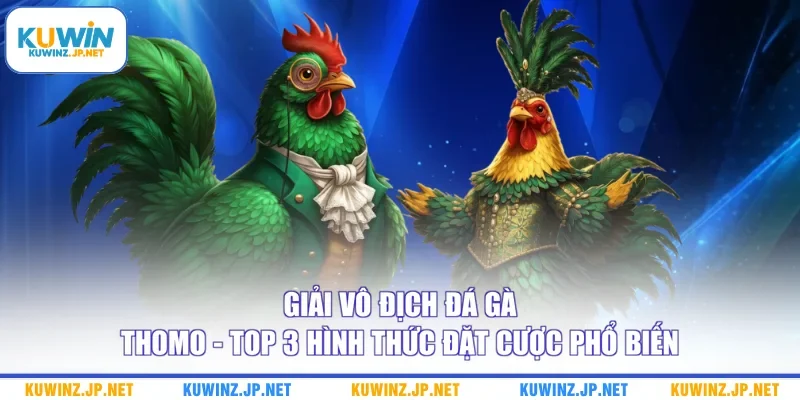 giải vô địch đá gà thomo