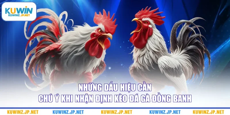 Những dấu hiệu cần chú ý khi nhận định kèo đá gà đồng banh
